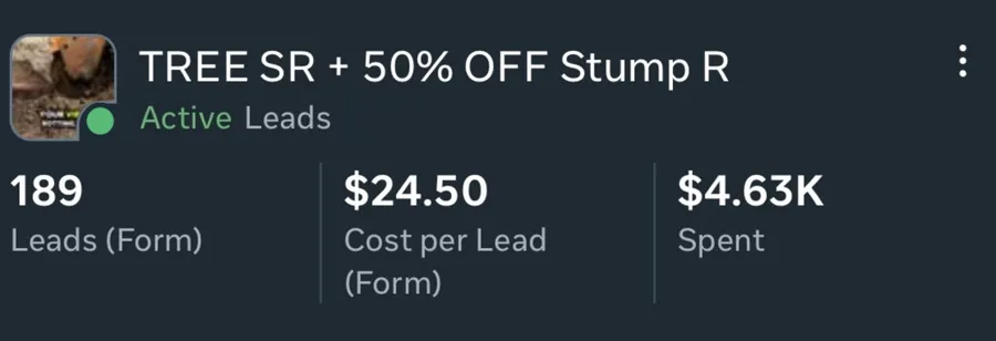 Meta Ads Manager showing TREE SR + 50% OFF Stump R: 189 Leads (Form), $24.50 cost per lead.